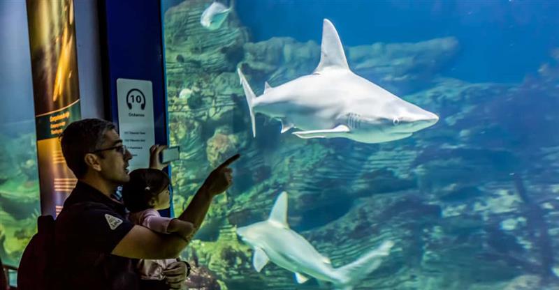 Valencia Oceanografic